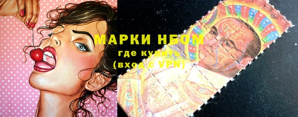 бошки Алексин