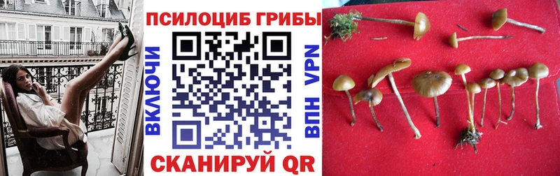 Псилоцибиновые грибы Magic Shrooms  ссылка на мегу рабочий сайт  Алатырь 